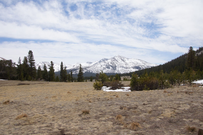 Looking over the high Sierra.