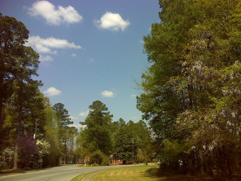 A country road on MST Segment 12B coming into Roseboro. Photo by PJ Wetzel, www.pjwetzel.com.