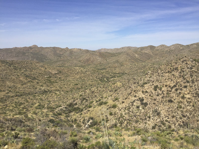 Forever views of the Tortolitas to the northwest.