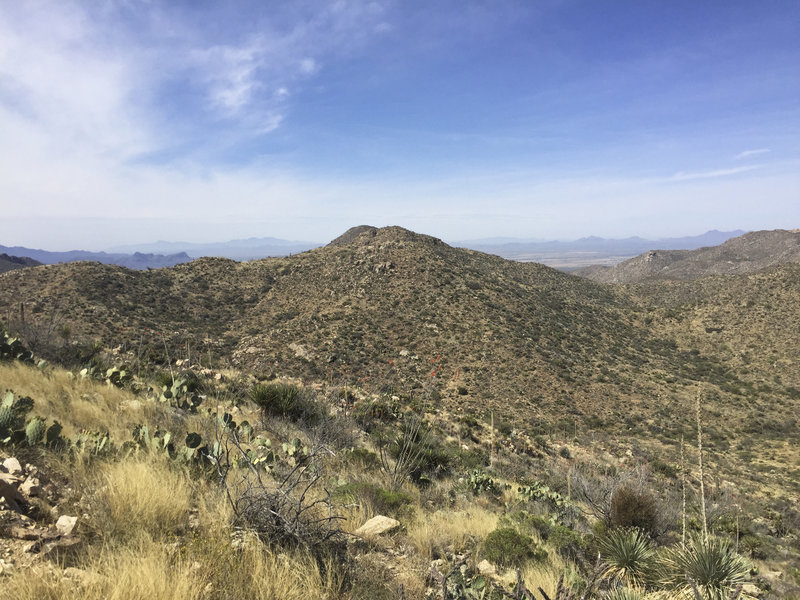 Awesome views in all directions from this elevated trail.