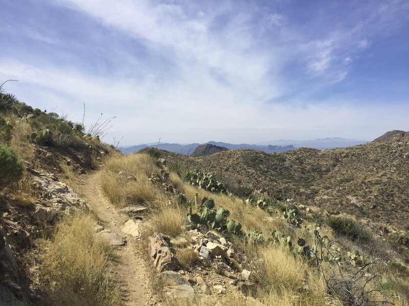 Butter singletrack!