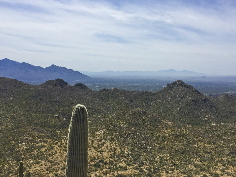 Incredible views towards downtown Tucson!