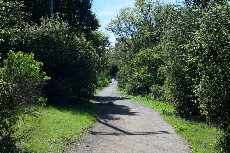 The trail as it makes its way through the preserve.