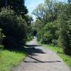 The trail as it makes its way through the preserve.