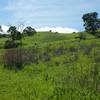 The Arastradero Preserve Hills.