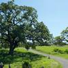 The trail winds up the hill after passing the Arastradero Lake.