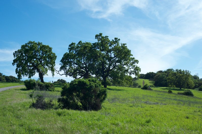 A view coming up from Gate C at the edge of the preserve.