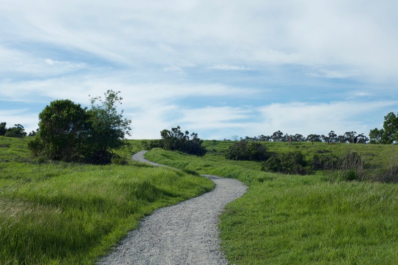 The trail climbs from the Juan Bautista de Anza Trail toward the Portola Pastures Trail.