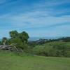 Views of the homes that sit right outside the preserve.