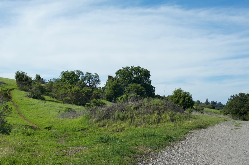 A side trail leads up to the Bowl Loop Trails that run along the hilltop.