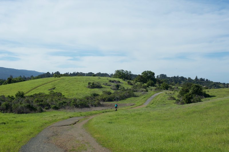 A mountain biker drops from the hill. You can see part of a Bowl Loop Trail that runs along the top of the hill.