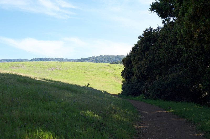 The trail hugs the hills and wildflowers bloom on the side of the trail in the spring.