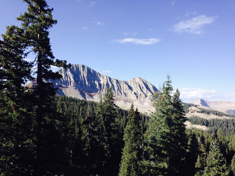 Looking south back towards the North Face of Engineer.