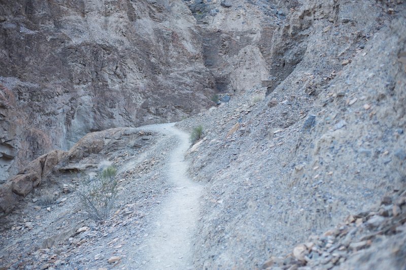 This narrow trail that leads to the right of the canyon allows you to pass the dryfall without having to climb.