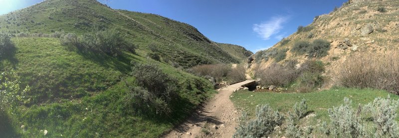 Corrals has several really nice stretches between the foothills and is well maintained, with easy water crossings.