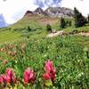 After leaving the forest you enter a meadow and depending on the time of year you may see a field of Paintbrush with Engineer dominating the view above.