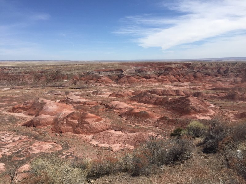 Painted Desert.