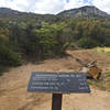 From the Gap you can head up the Samaniego Ridge Trail to the CDO or Sutherland.