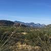 Blooming ocotillo and more great Catalina views.