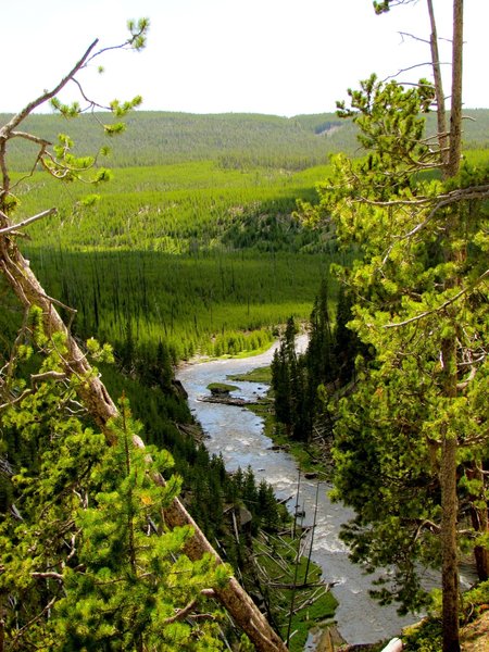 The river after Gibbon Falls.