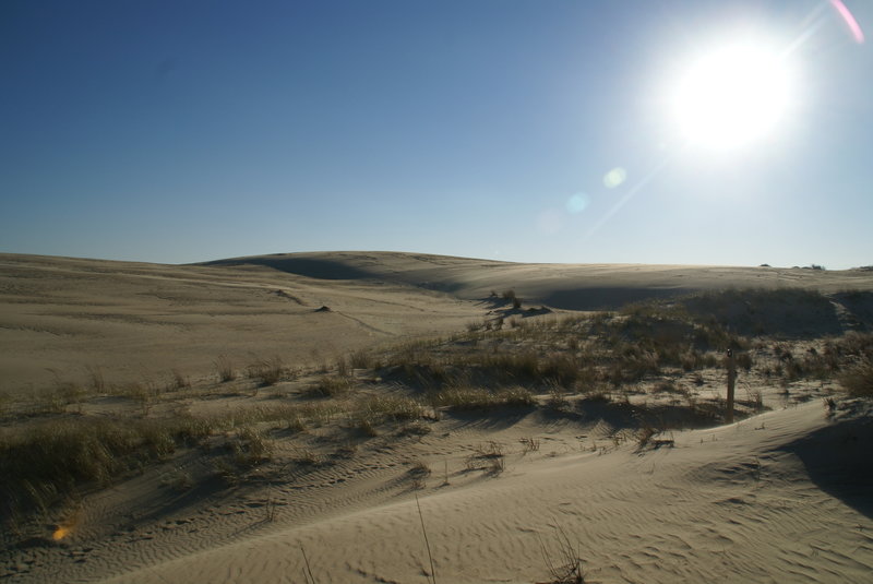 Jockey’s Ridge State Park, the largest dune complex on the east coast. Photo by Jim Grode.