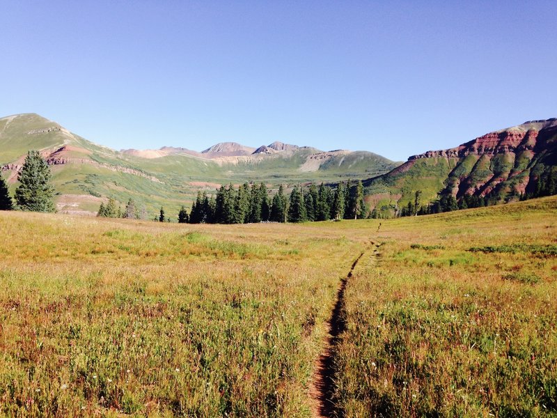 Grassy singletrack along the Engineer Mountain Trail.