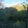 Sobey Pond sits on the left hand side of the trail. Most views are obstructed, but it provides water and vegetation for animals in the preserve.