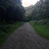 While a steep climb for those on foot and mountain bikers, it makes for a great descent on the way back down the hill. Mountain bikers enjoy this trail.