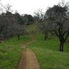 After the first steep climb the trail crosses this confluence of trails before you head up the next steep section.