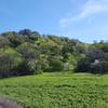 From the gravelly Jepsen Trail, you get a view of the Hillside and Peak of the top of the first tower or A-Frame.