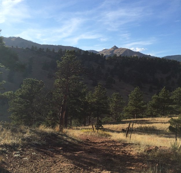 Fairview Peak from the top of the Interim Joder Trail.