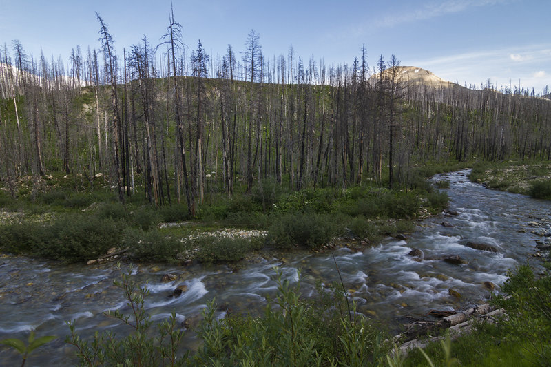 View of Divide Creek from the end of the trail