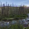 View of Divide Creek from the end of the trail