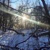 Along the Green Blaze Trail on a beautiful sub-zero day.