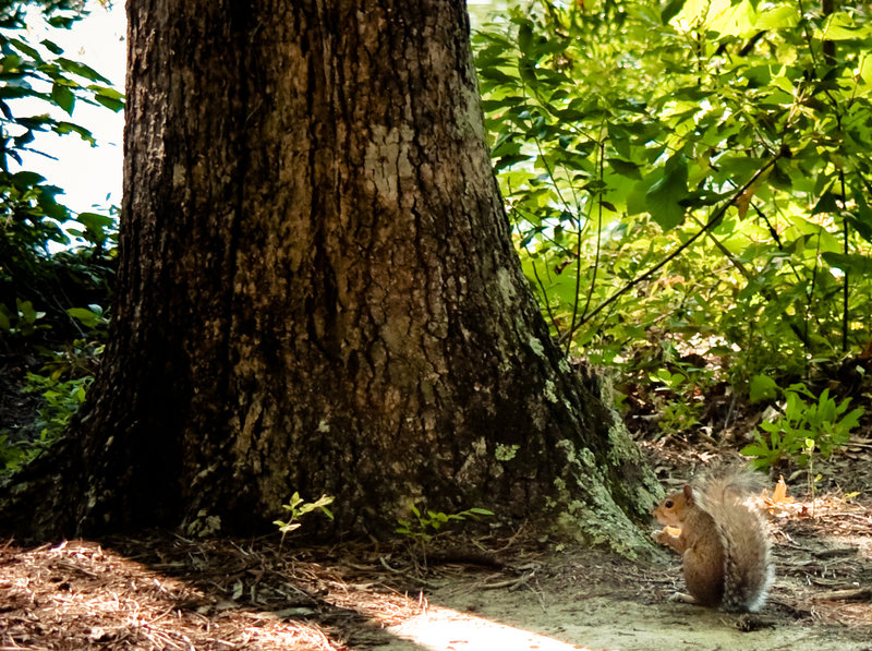 Local fauna checking out the local flora.