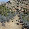 The trail passes through a saddle on the mountain and the trail becomes dirt instead of stairs. The saddle is a good place to rest before continuing your ascent.