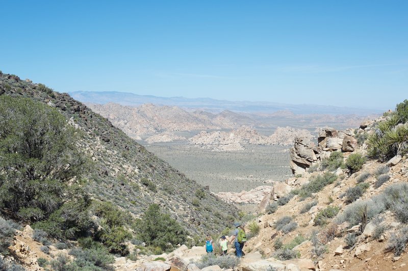 Roughly .9 miles into the hike, the trail levels off briefly as it passes through a saddle on the mountain.