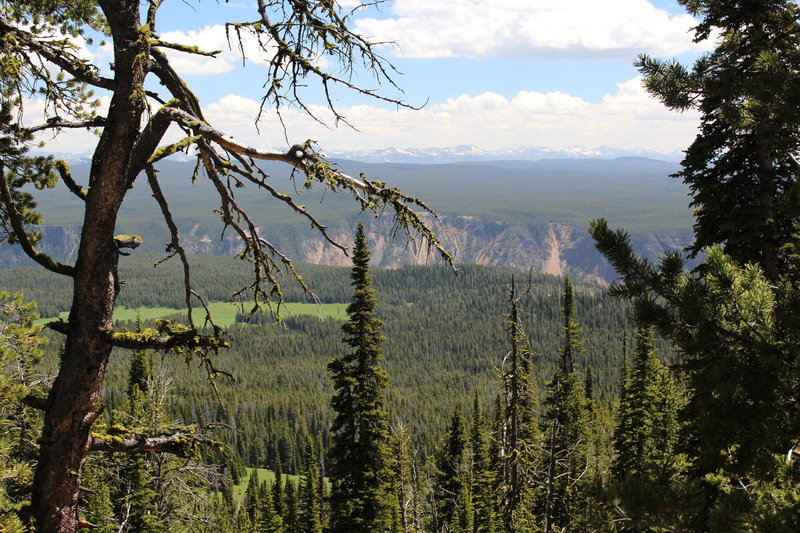 View of the Grand Canyon of the Yellowstone from the Mount Washburn Trail.