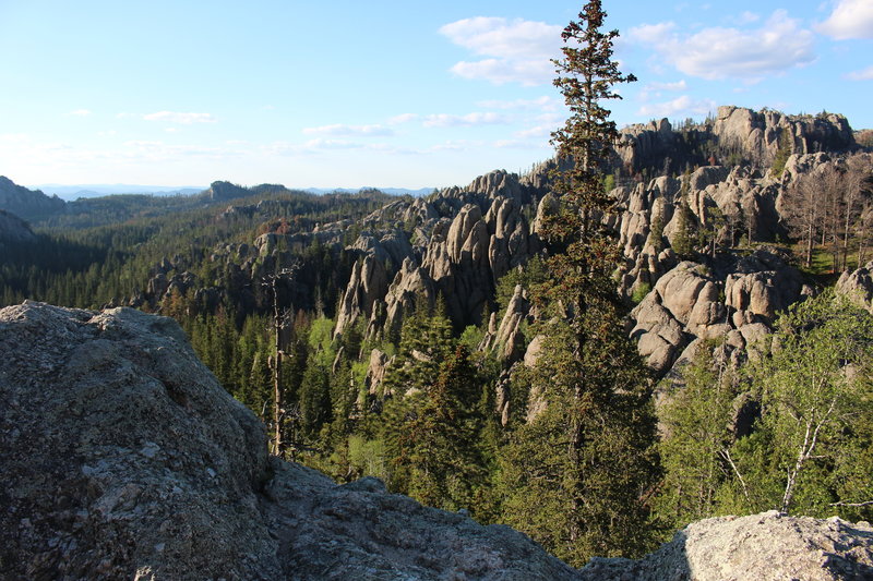 View from Harney Peak Trail #9.