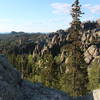 View from Harney Peak Trail #9.