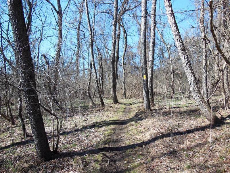 Carpenter Trail - Yellow Trail singletrack section.