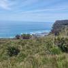 Looking out over the ocean from the Coast Track.