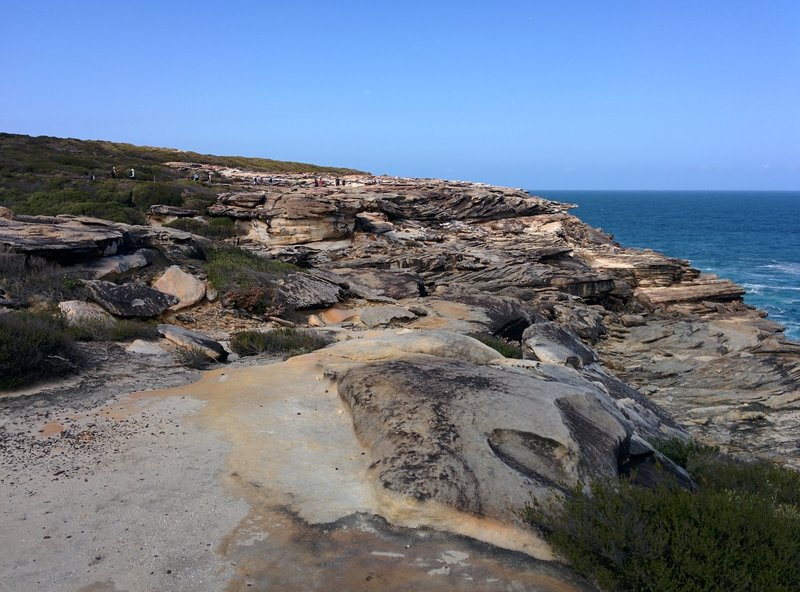 A rocky section of the Coast Track.