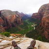 Angels Landing!