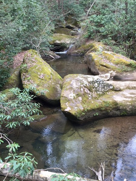 Clear water of the Fall Branch to the Big South Fork.