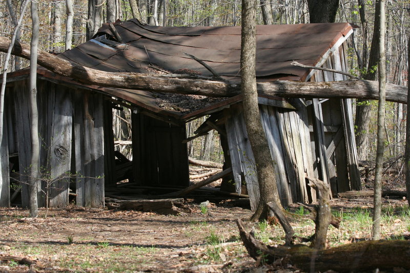 The remains of the Pocosin Mission house.