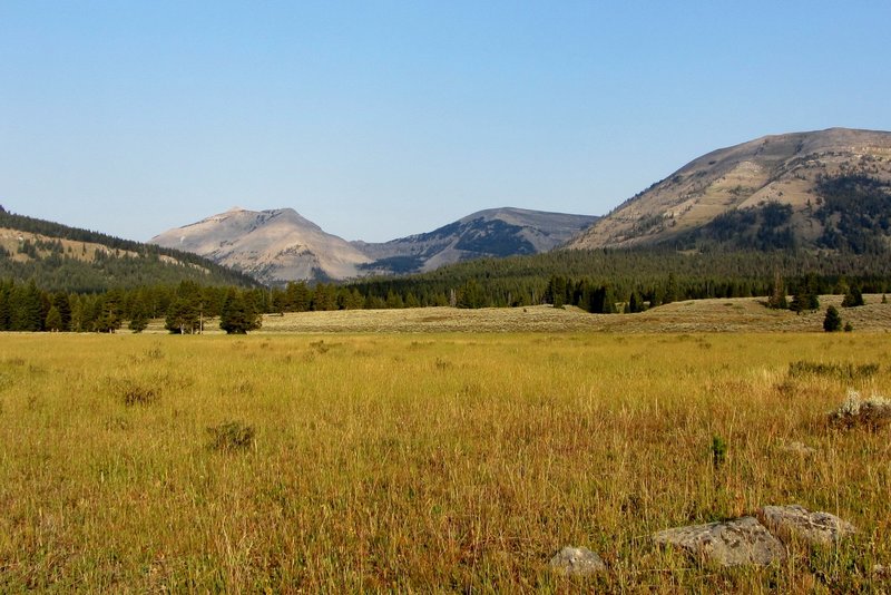 Looking west up the Panther Creek drainage toward Bannock Peak and Bighorn Pass (on the far left).