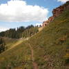 If you like tight singletrack, solitude, and epic views, White Creek is for you!