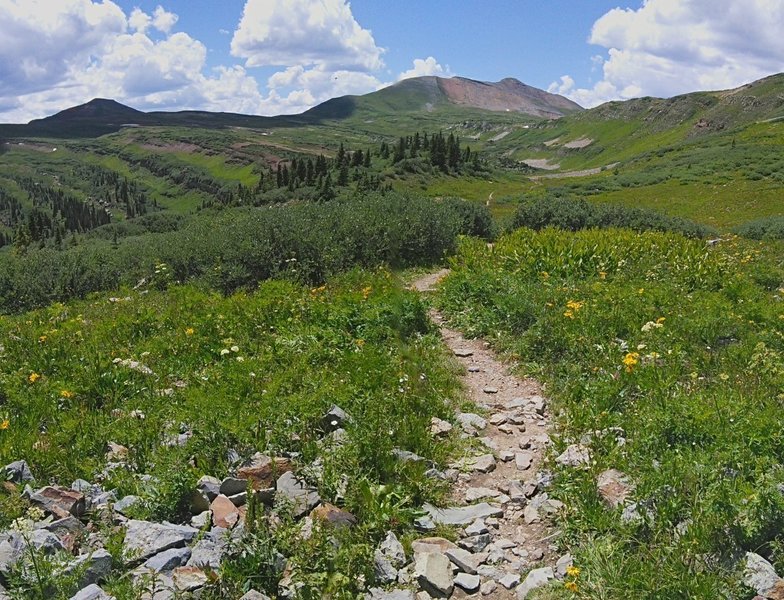 Looking towards the junction with Engineer Mountain Trail