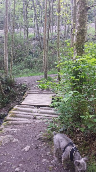 1st bridge to cross over to east side of the gulch.